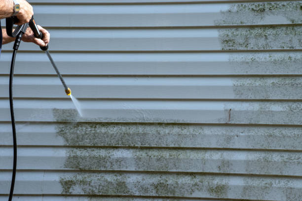 Shed Removal in Huntington Bay, NY